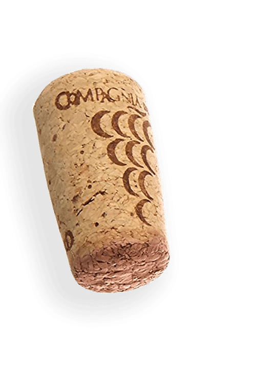 cork