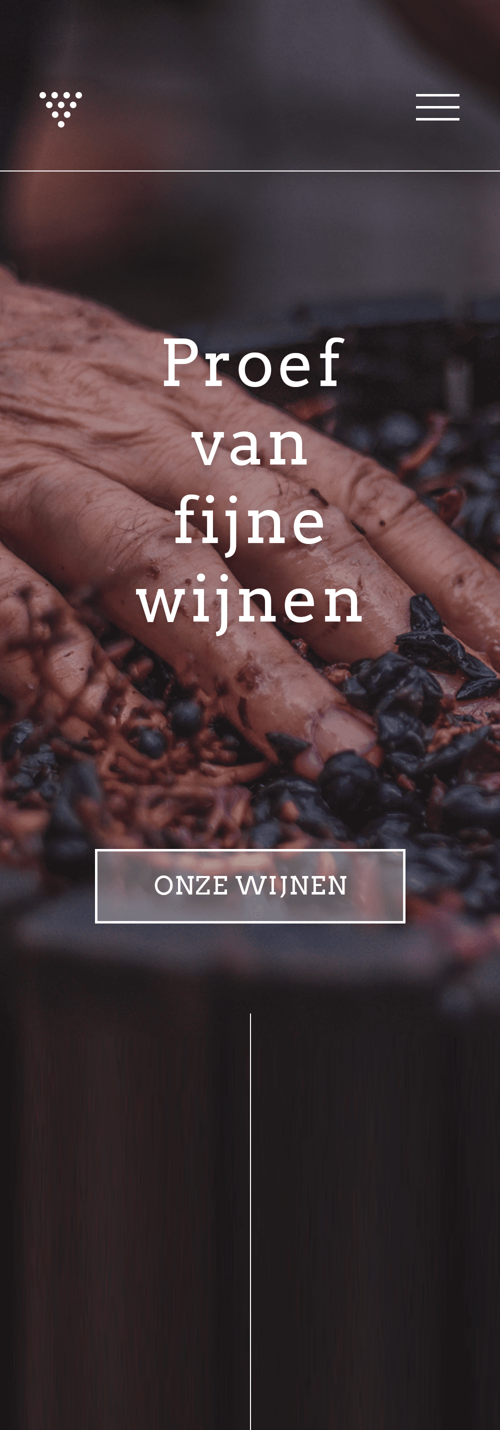 Vinturia website
