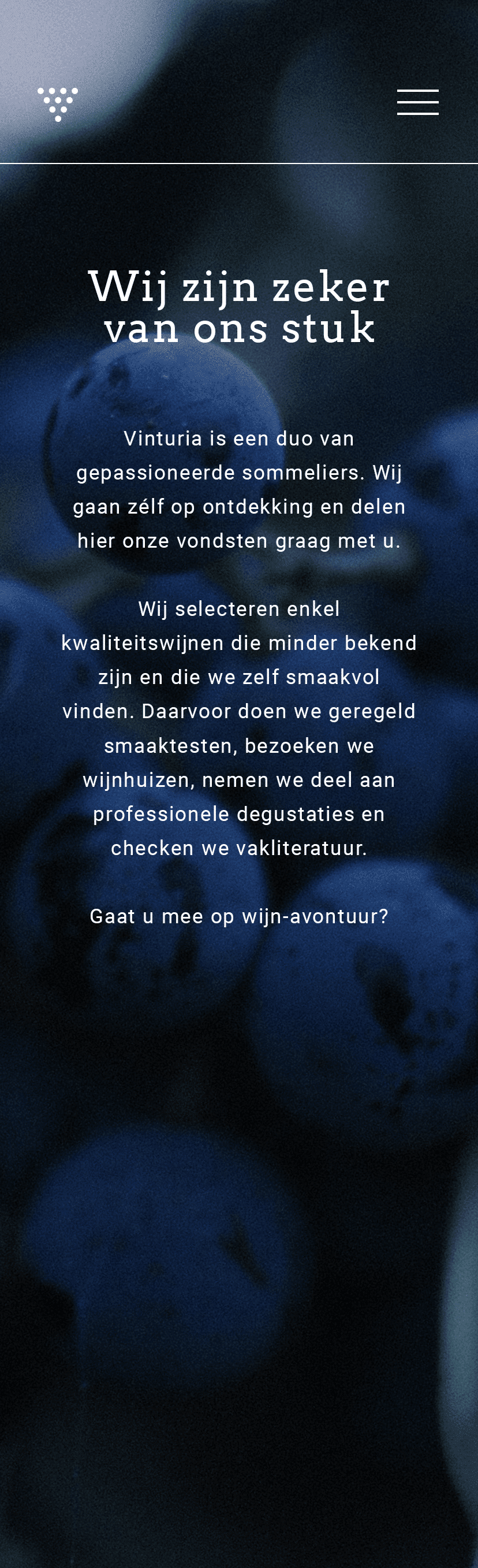 Vinturia website